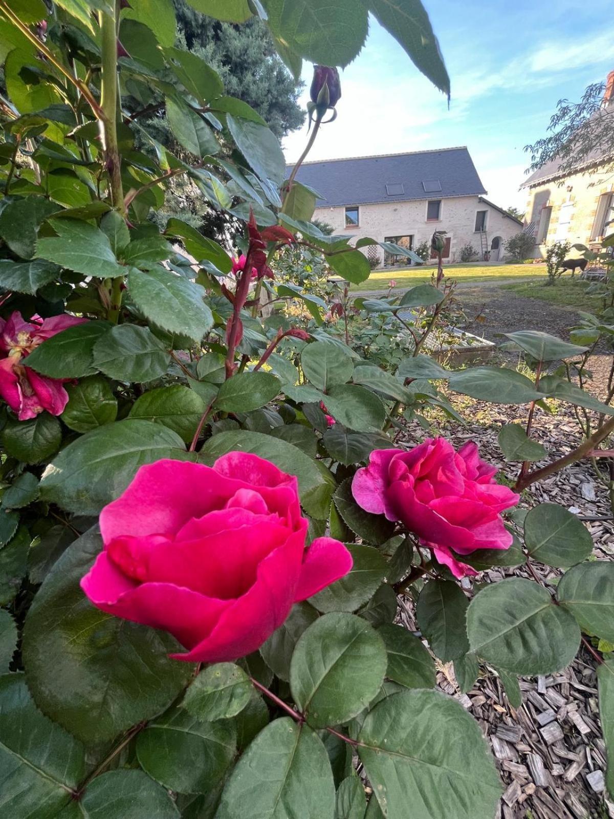 La Huberdiere Villa Fondettes Eksteriør bilde